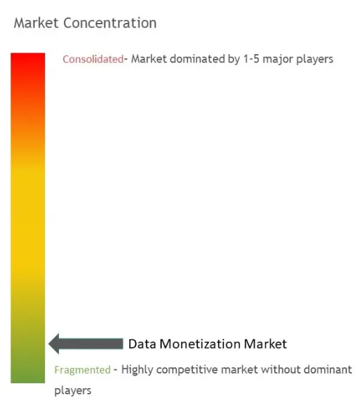 Data Monetization Market Concentration